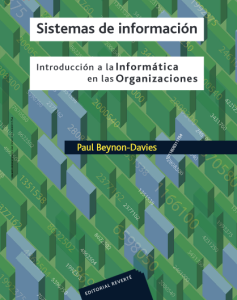 Sistemas De Información Introducción a la informática en las organizaciones - Solucionario | Libro PDF