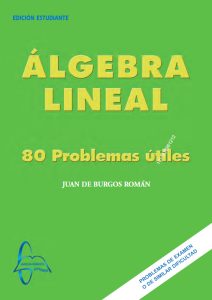 Álgebra Lineal 80 Problemas Útiles - Solucionario | Libro PDF