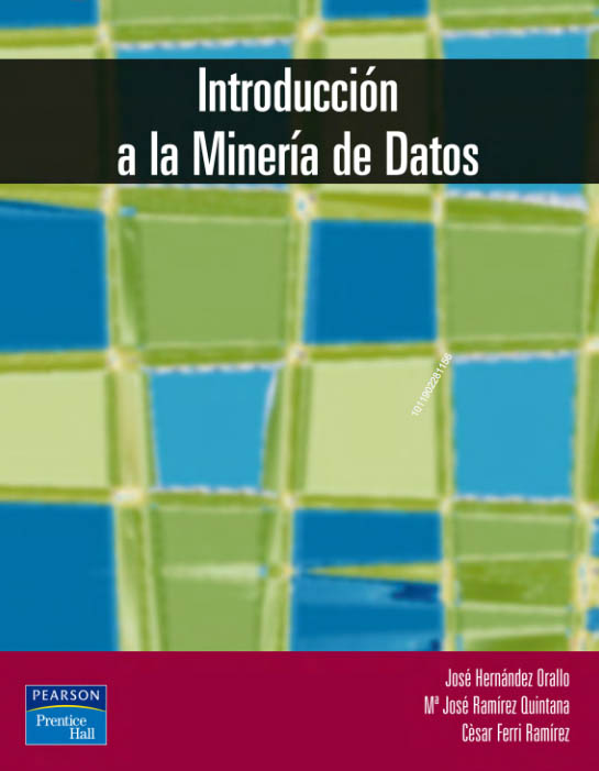Introduccion A La Mineria De Datos PDF