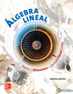 Álgebra Lineal 7Ed  - Solucionario | Libro PDF
