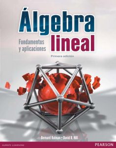 Álgebra Lineal Fundamentos y aplicaciones - Solucionario | Libro PDF